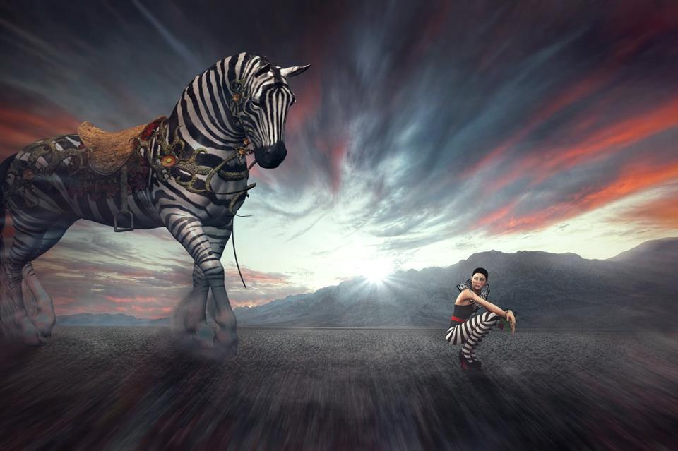 The Zebra jigsaw puzzle